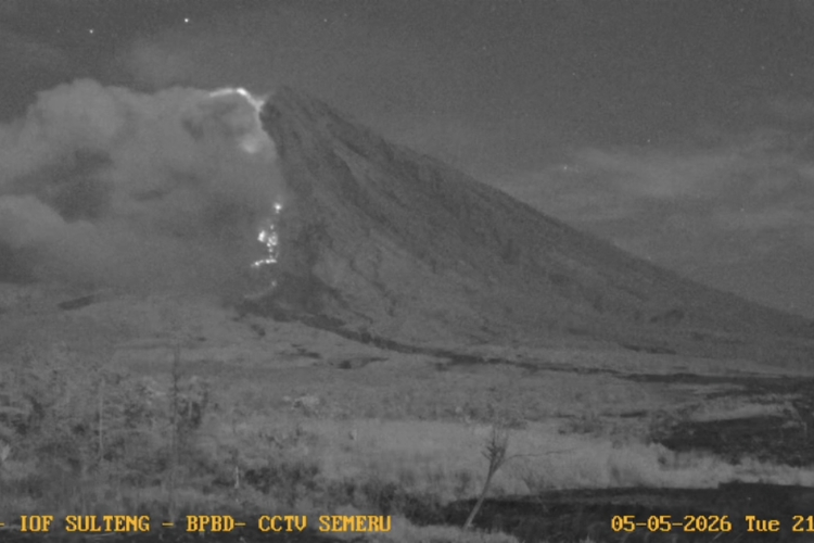 Semeru Erupsi, Awan Panas Meluncur 3,5 Km ke Besuk Kobokan