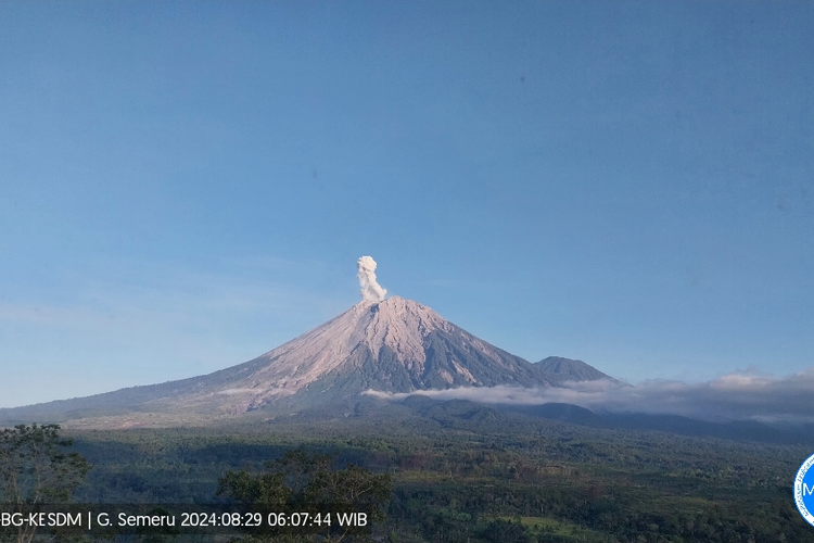 Visual erupsi Gunung Semeru berupa letusan setinggi 700 meter, Kamis (29/8/2024)