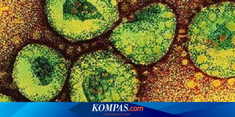 Soal Wabah Virus Corona Mengapa Sejumlah Virus Berbahaya Muncul Dari China Halaman All Kompas Com