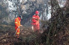 Satu Hektar Hutan Jati di Madiun Ludes Terbakar
