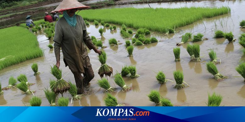Hubungan Manusia dengan Lingkungan