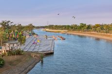 Bird Sanctuary PIK 2, Rumah Baru untuk Burung-burung Pesisir Jakarta