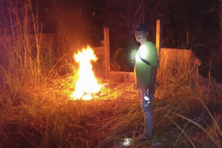 Konflik Gajah dan Manusia Terjadi Lagi di Pekanbaru, BBKSDA Riau Turun Tangan