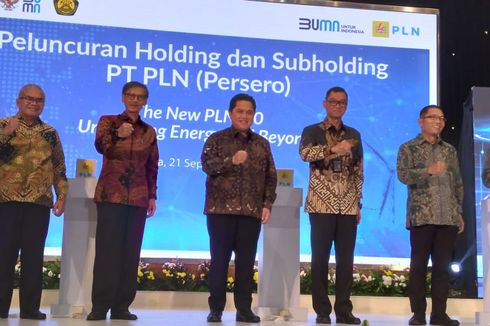 Resmi Jadi Holding, PLN Bentuk Subholding