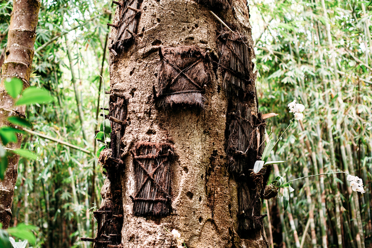 Makam Toraja 