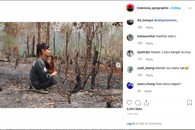 Foto orangutan di tengah karhutla yang beredar di media sosial.