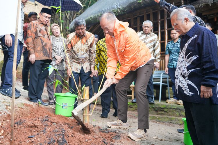 Menteri Perindustrian Agus Gumiwang Kartasasmita menanam pohon bambu di Kabuyutan Bambu Muara Beres, Cibinong, Bogor, Jawa Barat, Senin (26/5/2025).