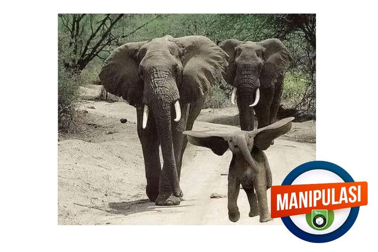 Manipulasi, foto anak gajah melompat