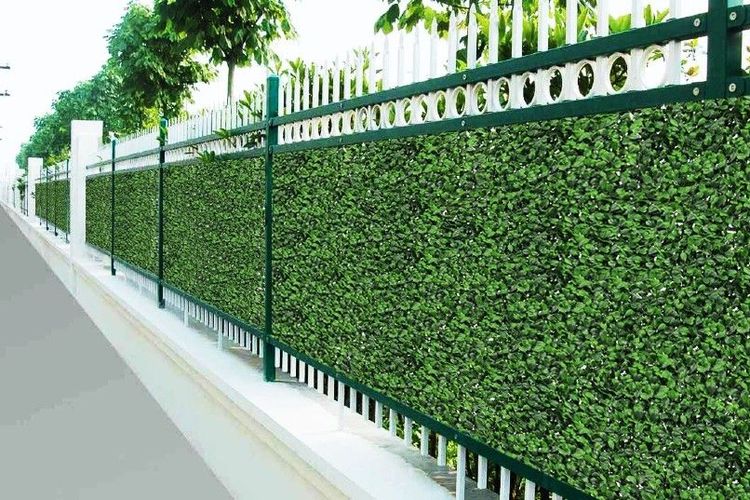 pagar tanaman yang berpotensi mengurangi dampak paparan polusi udara