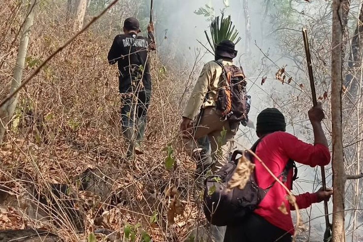 Foto: Petugas berjibaku memadamkan api di Gunung Baluran ketika terjadi kebakaran kemarin.