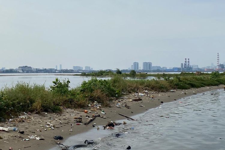 Pulau G pada Senin (26/9/2022) tampak dipenuhi sampah organik dan non-organik yang berserakan. Ada pula rumput yang tumbuh setinggi paha orang dewasa, hingga kondisi pasir yang sudah mulai terkikis air laut. 