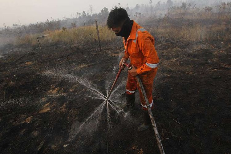Satgas Kebakaran hutan dan lahan (Karhutla) dari Dinas Kehutanan Kalsel menggunakan alat suntik gambut (Sunbut) saat berupaya memadamkan kebakaran lahan gambut di kawasan Syamsudin Noor, Banjarbaru, Kalimantan Selatan, Sabtu (14/9/2019). Berdasarkan pantauan satelit milik Lembaga Penerbangan dan Antariksa Nasional (LAPAN) pada Sabtu (14/9/2019) terdapat 2.720 titik api di sejumlah wilayah yang ada di Indonesia.