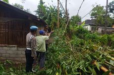 Tebang Bambu, Warga Bantul Tewas Tersengat Listrik