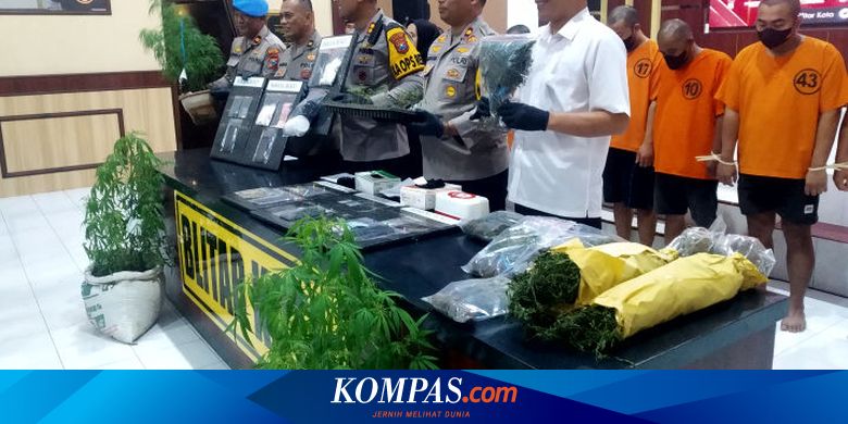 Pemilik Ladang Ganja di Blitar Juga Jual Tanaman Ganja Hidup di Polybag Rp 300.000 per Batang