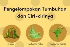 Pengelompokan Tumbuhan dan Ciri-cirinya