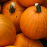 Identik dengan Halloween, Labu Ternyata Bisa Simpan Bahan Kimia Beracun