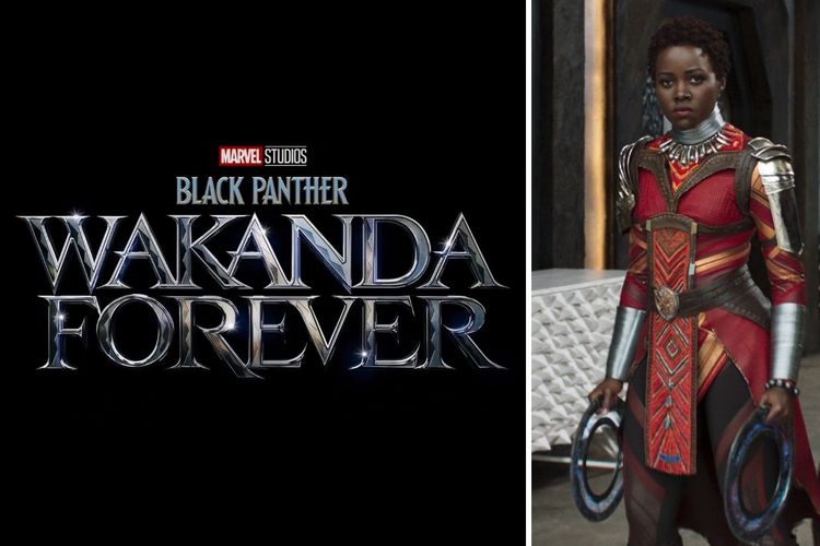 Black Panther: Wakanda Forever (2022)