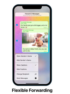 Informasi terkait pengirim pesan dan gambar yang akan diteruskan kini bisa ditampilkan atau disembunyikan di Telegram.