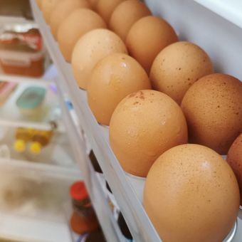 Ilustrasi telur di kulkas, menyimpan telur di kulkas. 