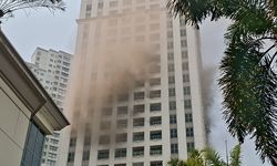 5 Hewan Tewas dalam Kebakaran Apartemen Pavilion, 14 Dirawat