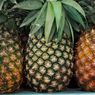 5 Cara Pilih Nanas Matang yang Tepat, Lihat dari Warna Kulit