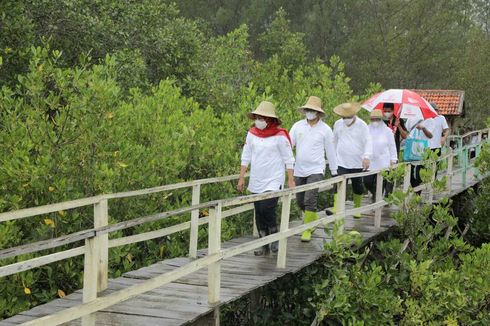 Mitigasi Perubahan Iklim dan Pemanasan Global, Jatim Kejar Target 34.000 Hektar Restorasi Mangrove
