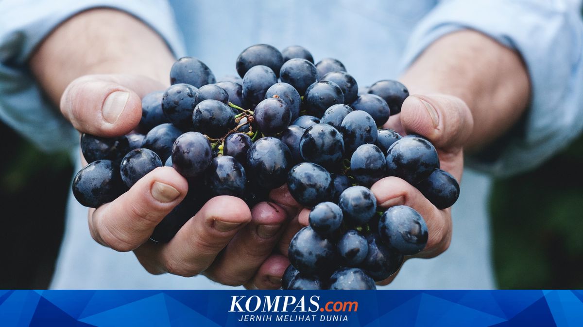 Anggur Vs Apel, Mana yang Lebih Aman untuk Gula Darah Penderita Diabetes?