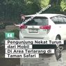 Demi Konten, Pengunjung Nekat Turun di Area Kuda Nil Taman Safari Prigen
