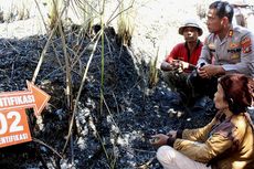 2 Pembakar Hutan di Samosir Sumut Ditangkap