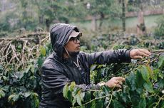 Apa yang Membuat Kopi Sumatera Istimewa?