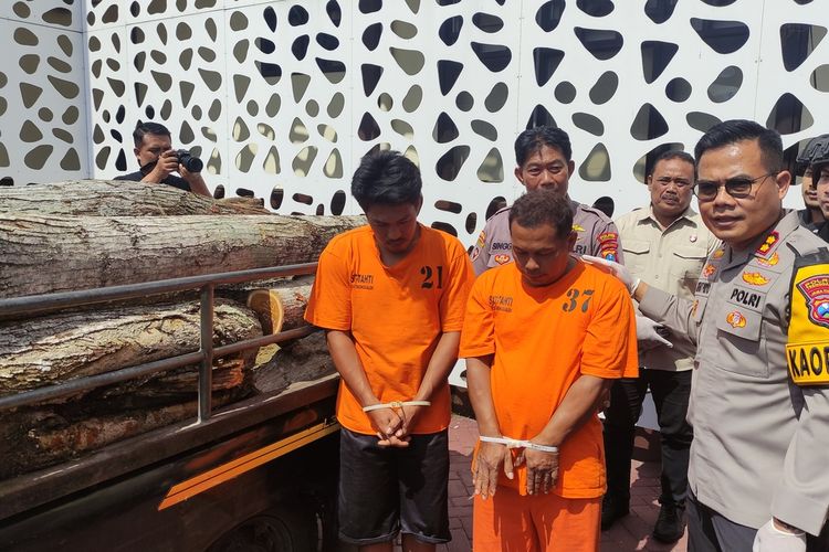 Dua pelaku pembalakan liar di Kabupaten Trenggalek Jawa Timur di Tangkap polisi, Jumat (21/06/2024)