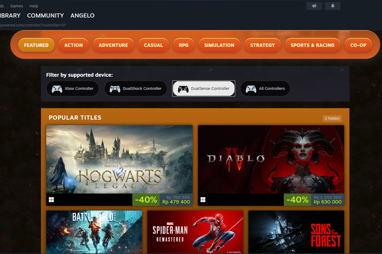 Pengguna bisa memfilter game berdasarkan dukungan controller yang dimiliki, yakni controller Xbox, DualShock (PS4), dan DualSense (PS5)