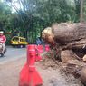 Longsor dan Pohon Tumbang Cipanas, BPBD Sebut Titik-titik Rawan Bencana Jalur Puncak