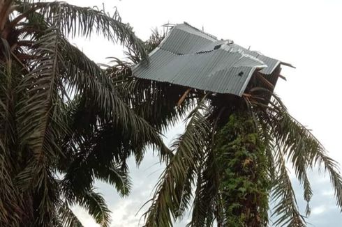 Sebuah Desa di Riau Diterpa Angin Puting Beliung, Atap Kios dan Rumah Milik Warga Beterbangan