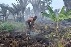 Cerita Andik Baso Tidur di Kolong Rumahnya yang Dikepung Api Karhutla