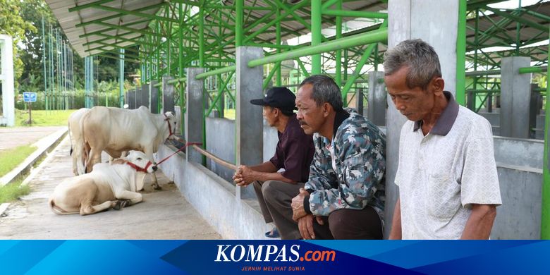 Target Bebas PMK 2035, Pemerintah Kejar Pengakuan Dunia