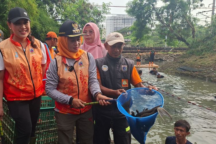 DPRD DKI Soroti Potensi Siomay Berbahan Ikan Sapu-sapu, Minta Pengawasan Diperketat
