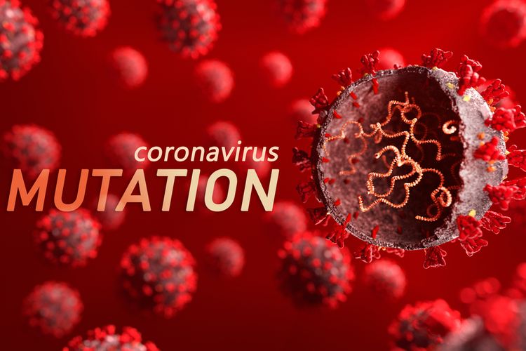 Illustration of Coronavirus mutation