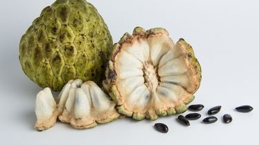 Petani India Beralih ke Srikaya Saat Krisis Air Makin Menekan