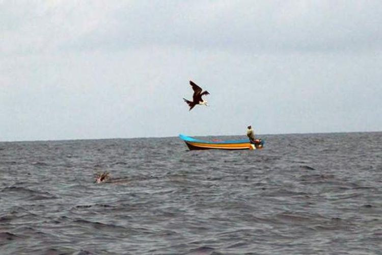 Nelayan tradisional memancing ikan di Laut Seram, sekitar  22 mil laut (40,74 kilometer) dari Kawa, Kecamatan Seram Barat, Kabupaten Seram Bagian Barat, Maluku, pada Sabtu (14/1/2017).