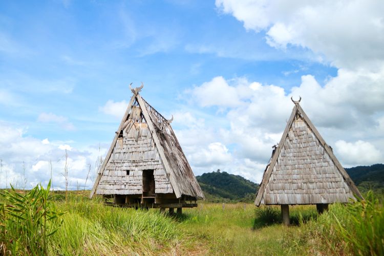 Rumah tradisional Tambi.