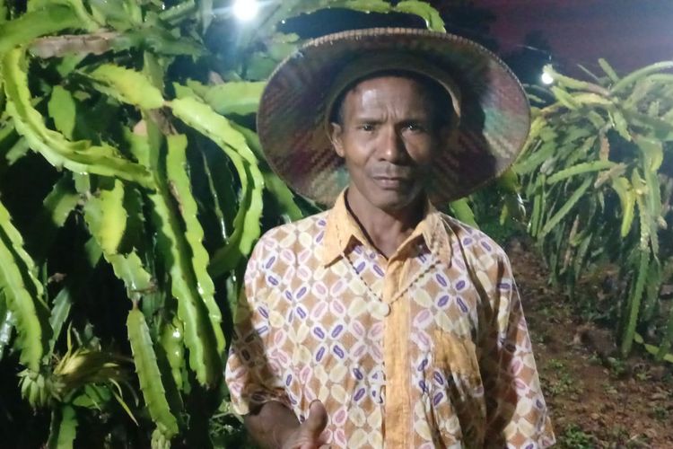 Ignasius Neno Naisau, warga Desa Nunmafo, Kecamatan Insana, Kabupaten Timor Tengah Utara (TTU), Nusa Tenggara Timur (NTT), tengah berada di kebunnya.