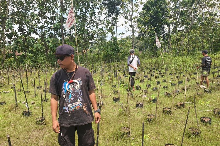 Perwakilan Petani Punk Gunungkidul saat memanen sisa cabai di ladang wilayah Kalangan, Kalurahan Ngipak, Kapanewon Karangmojo, Gunungkidul, Daerah Istimewa Yogyakarta, Selasa (14/4/2026)