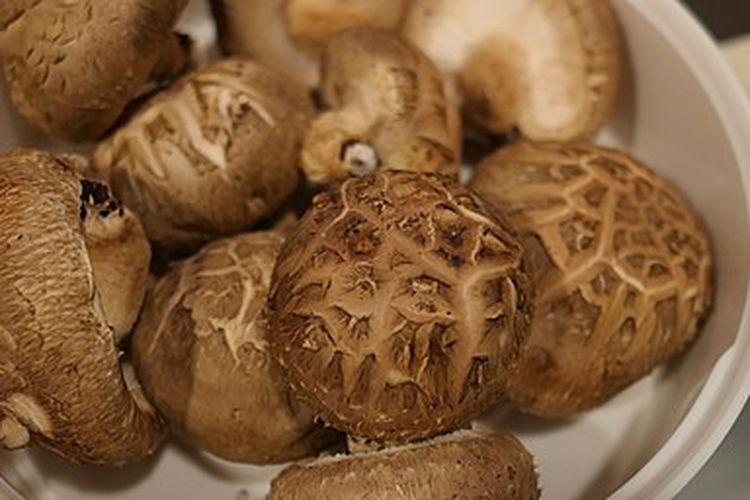 Jamur Shiitake