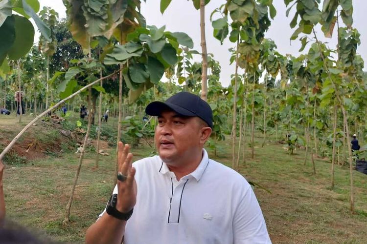 Usai Rentetan Kebakaran di Kabupaten Bogor, Bupati Bogor Siapkan Satgas Karhutla