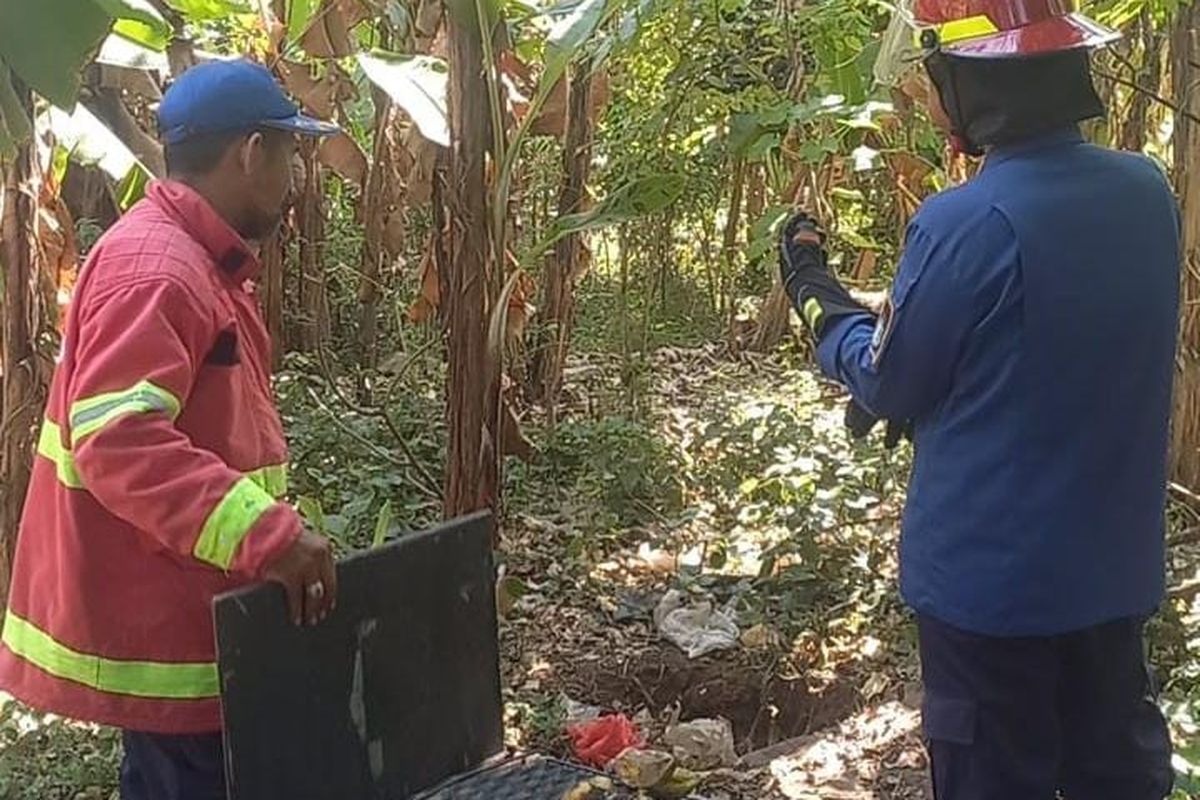 Petugas dari BPBD Kabupaten Pasuruan sedang mengecek perangkap untuk menangkap monyet liar di Desa Toyaning, Kecamatan Rejoso, Kabupaten Pasuruan, Jawa Timur, Kamis (04/09/2025) 