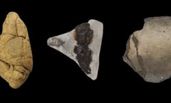 Permen Karet Kuno Ungkap Peran Gender Manusia Purba 6.000 Tahun Lalu