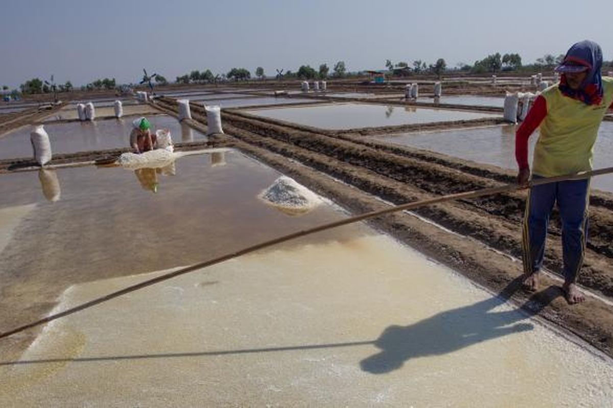 Limbah produksi garam menyimpan mineral penting untuk bahan baku obat. Sayangnya, pengelolaannya belum maksimal dan mencemari lingkungan.