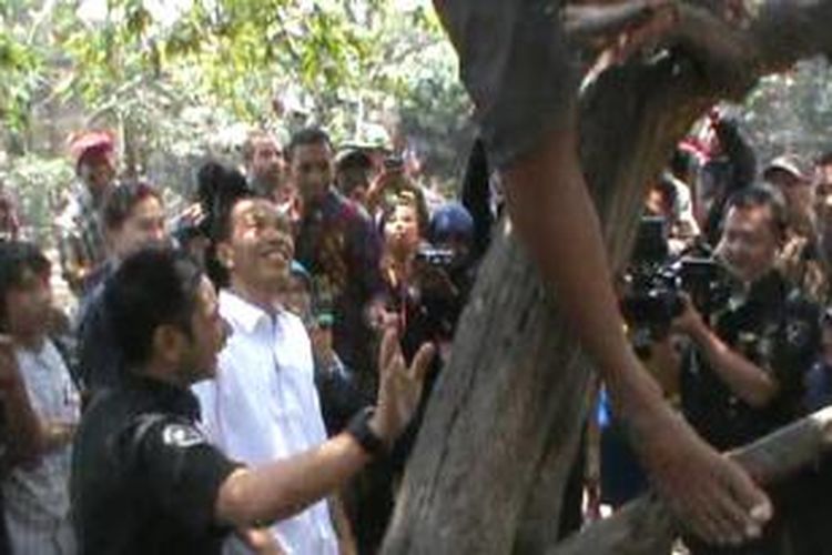 Jokowi meminta anak anak kecil turun dari pohon, Sabtu (13/9/2014). 