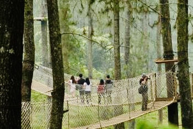 Sebagai salah satu taman konservasi anggrek terbesar di Indonesia, tempat ini bertransformasi menjadi area yang sangat cantik dengan lampu-lampu estetik saat malam hari